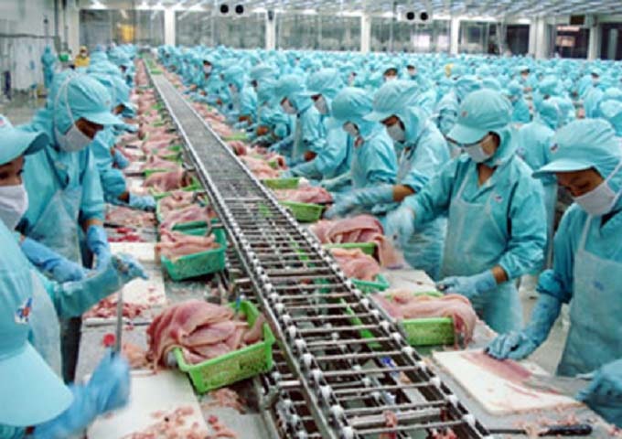 Dịch vụ xử lý nước thải chế biến thủy sản