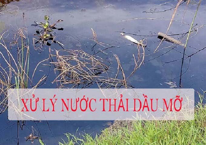 Dịch vụ xử lý nước thải nhiễm dầu